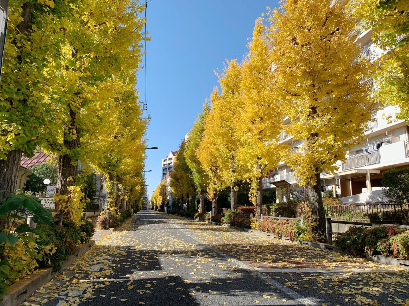 Rosenheim Tokyo Shinjuku Esterno foto